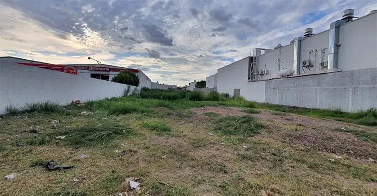 Galería 7