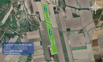 9_2931 | 24.40 HECTAREAS AGRÍCOLAS EN VENTA Ejido Suarez (Campo Gastélum o Cohuibampo), Ahome Sinaloa | BIENES&RAICES MORENO Y ASOCIADOS INMOBILIARIA