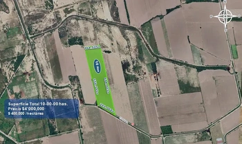 9_2932 | 10 HECTAREAS AGRÍCOLAS Ejido Suarez (Campo Gastelum y Cohuibampo), Ahome Sinaloa | BIENES&RAICES MORENO Y ASOCIADOS INMOBILIARIA
