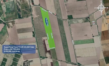 9_2933 | 14.40 HECTAREAS AGRÍCOLAS Ejido Suarez (Campo Gastelum y Cohuibampo), Ahome Sinaloa | BIENES&RAICES MORENO Y ASOCIADOS INMOBILIARIA